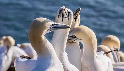 hth网页版-学训矛盾如何破解（小贴士）