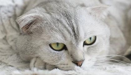 hth网页版-学训矛盾如何破解（小贴士）