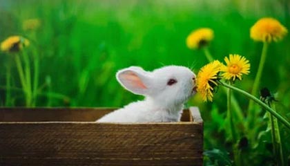 hth-安踏成为希腊奥委会战略合作伙伴